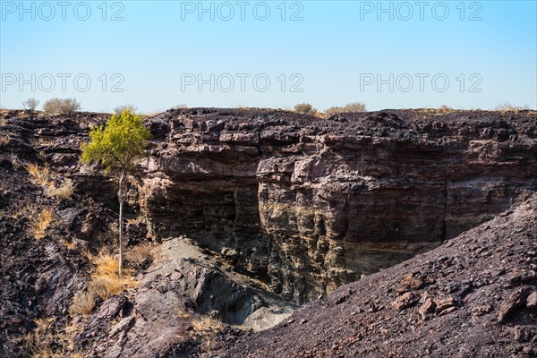 Burnt Mountain