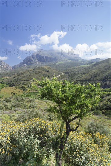 Valley of Megalopotamos