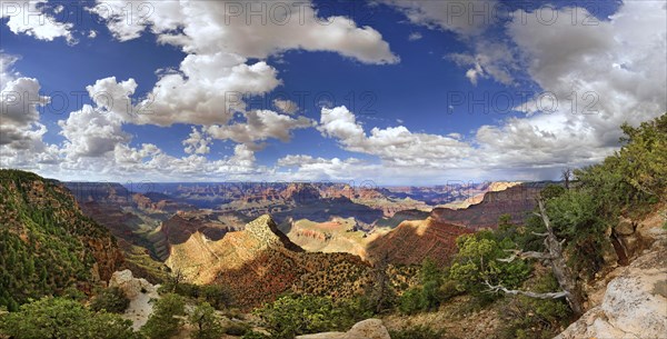 View of the Grand Canyon