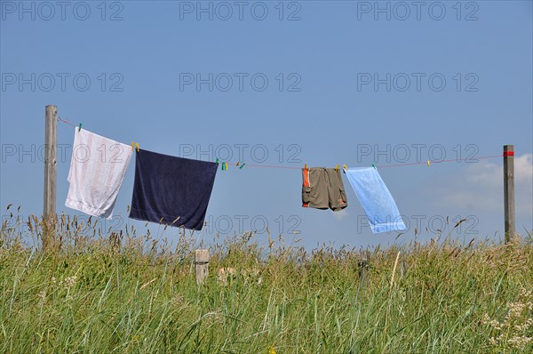 Laundry hanging to dry on a washing line