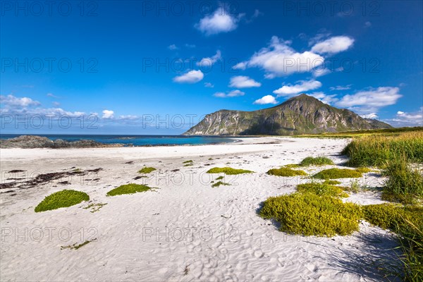 Beach near Flakstad