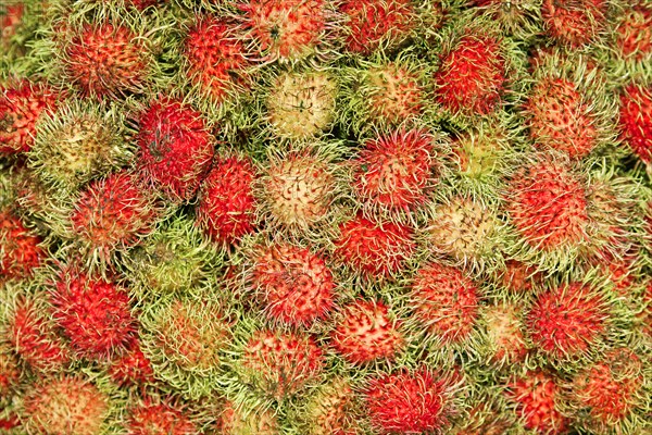 Rambutans (Nephelium lappaceum) for sale on a market