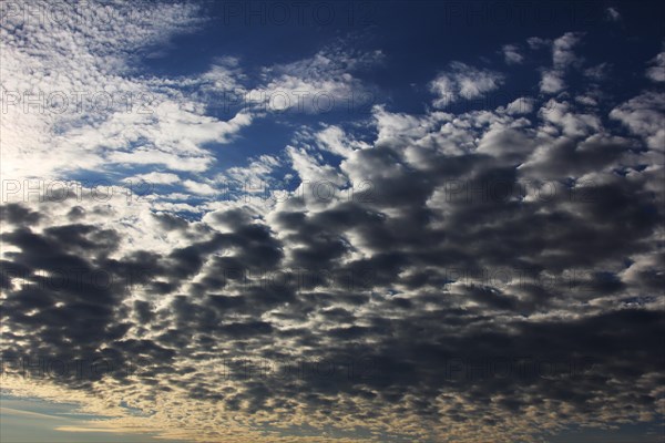 Fleecy clouds