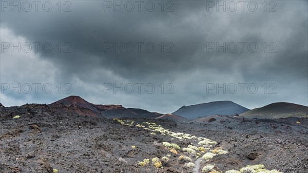 Volcanic Landscape