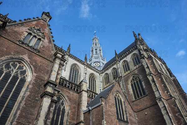 Gothic Cathedral Sint-Bavokerk