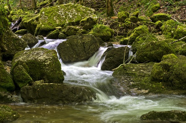 Rapids in a rushing creek