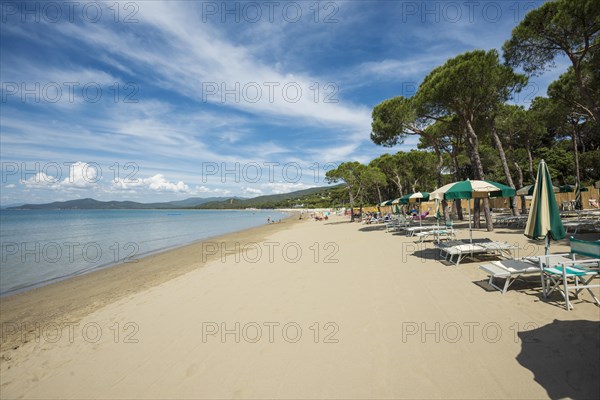 Deck chairs on the beach