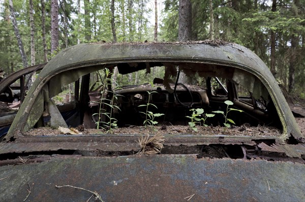 Kyrko Mosse junkyard