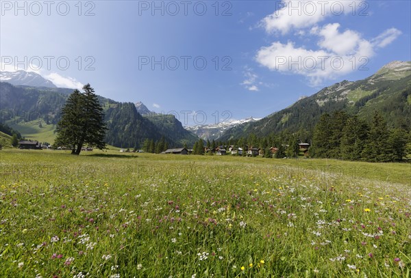 Nenzinger Himmel alpine meadow