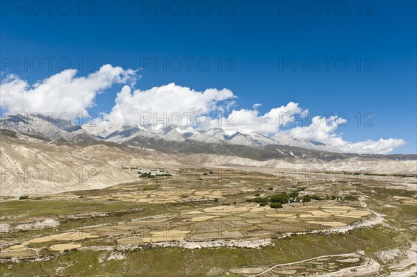 Barren cultivated landscape