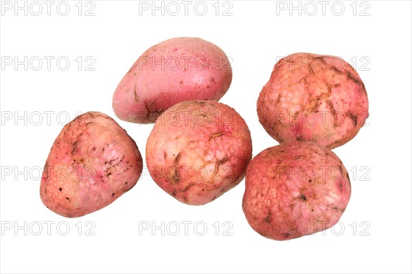 Potatoes