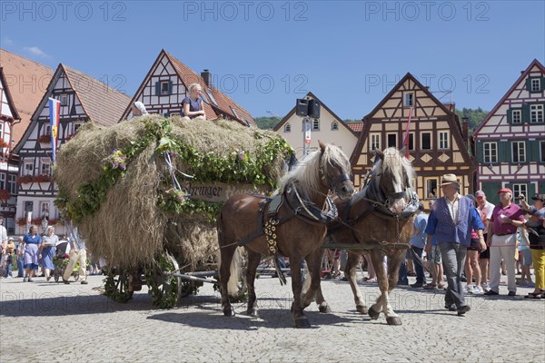 Horse-drawn carriage