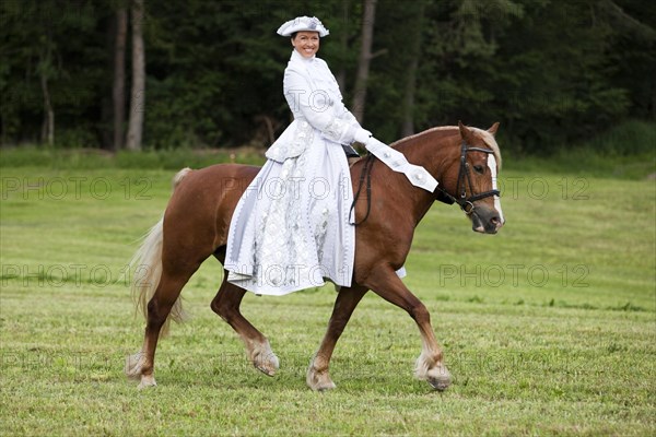 Equestrienne wearing a Venetian costume riding a Welsh Cob