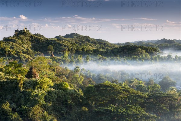 Pagodas surrounded by trees