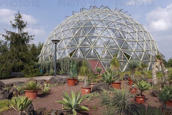 Dome greenhouse