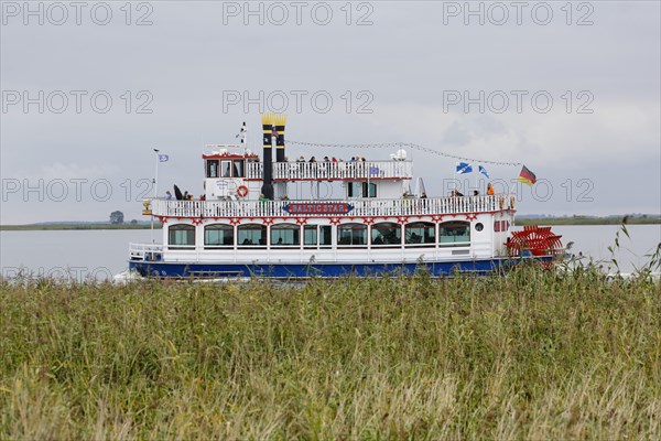 Paddle steamer