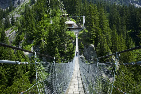 Suspension bridge