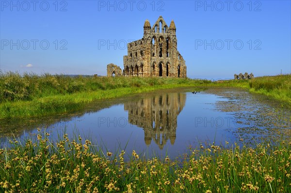 The ruins of Whitby Abbey that inspired Bram Stoker to his masterpiece 'Dracula'