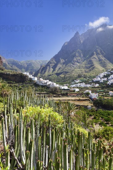 Valley of Agaete