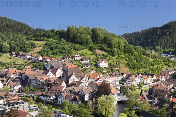 Townscape of Schiltach