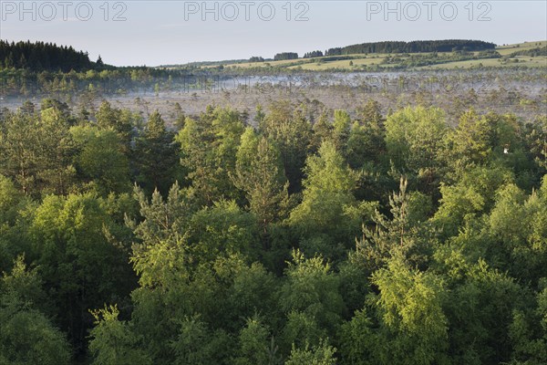 Schwarzes Moor nature reserve