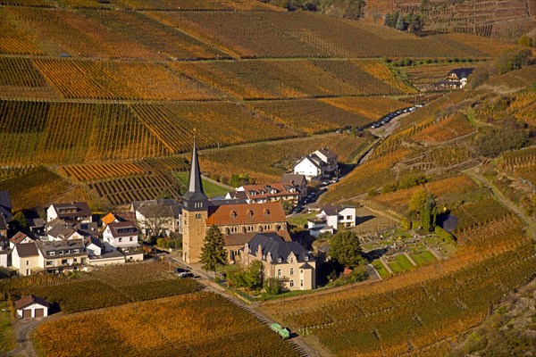 Vineyards in the Ahrtal valley in autumn