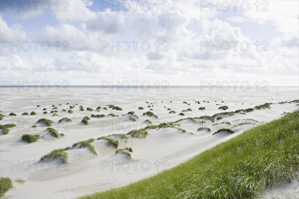 Dunes and beach