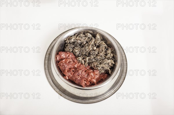 Dog bowl with two kinds of raw meat