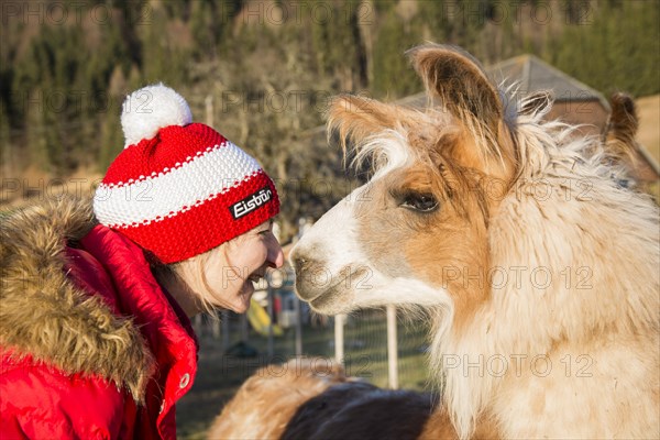 Woman and Llama (Lama glama)