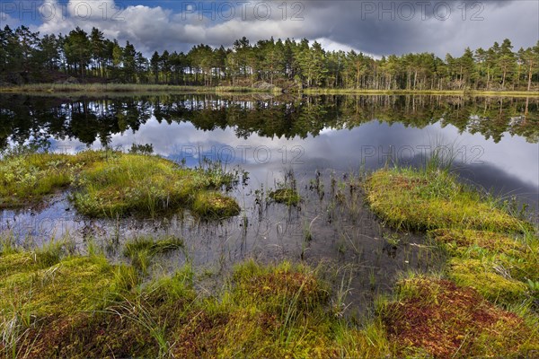 Naveretjarn Lake