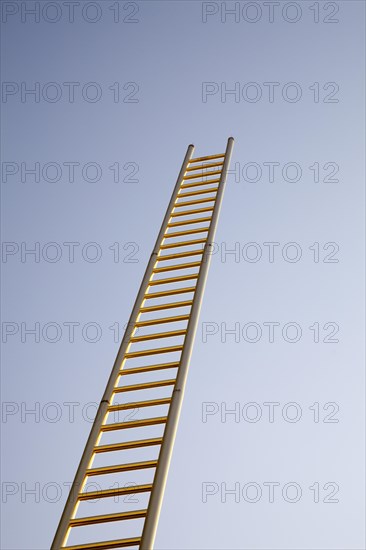 Golden Ladder