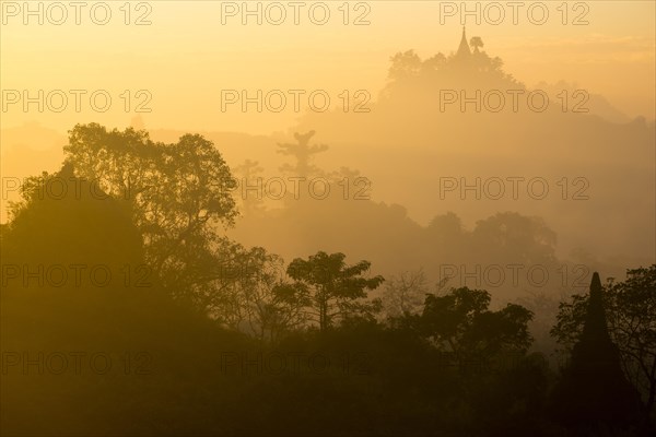 Pagoda surrounded by trees