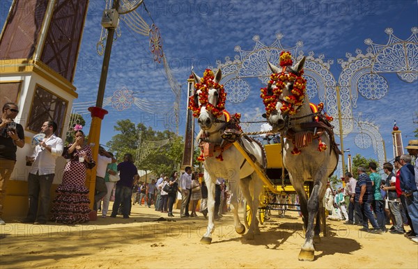 Decorated horses at the Feria del Caballo Horse Fair