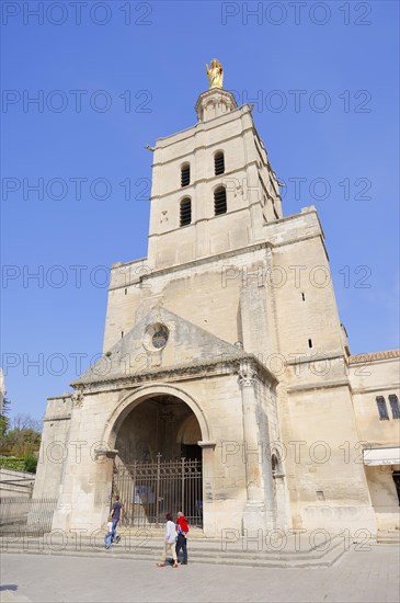 Avignon Cathedral