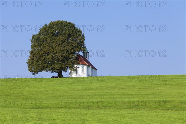 Heilig-Kreuz-Kapelle