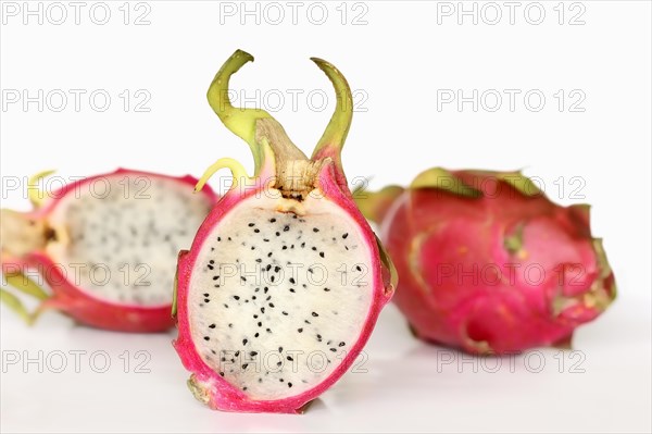 Pitahaya or Dragonfruit (Hylocereus undatus)