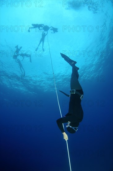 Freedivers