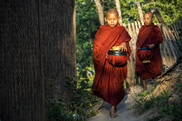 Buddhist novices with begging bowls at their morning begging tour