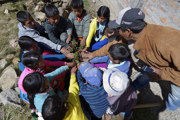 Boys and girls in a circle around a seedling