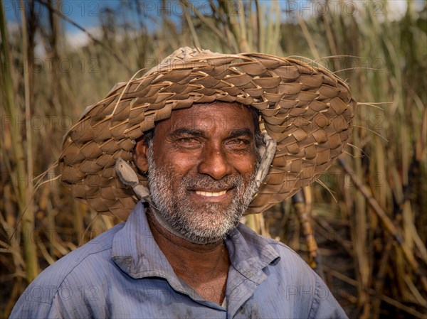 Farm worker standing on a field of sugar cane