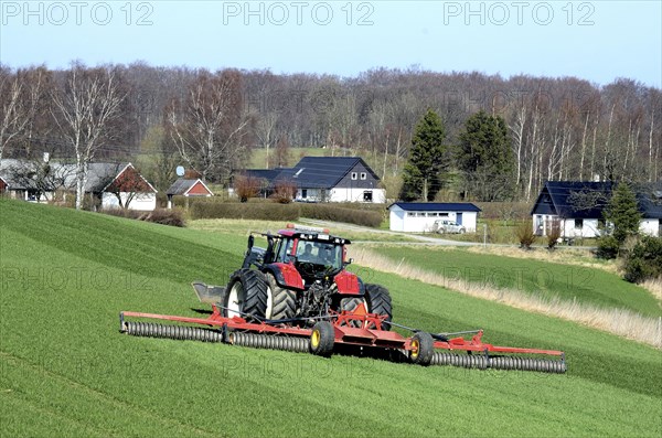 Tractor with cambridge roller works on green fields at spring farming. Houses and trees in the background