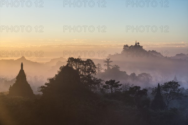 Pagodas surrounded by trees