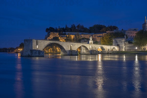 Rhone with the Pont Saint-Benezet bridge