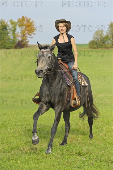 Western ridden Connemara pony