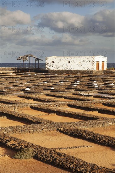 Museo del Sal