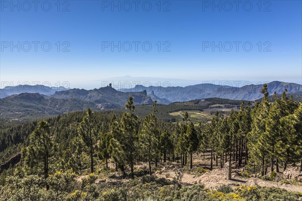 View from Pico de las Nieves towards Roque Nublo Mountain