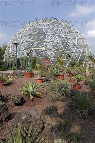 Dome greenhouse