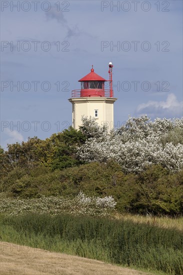 Leuchtturm Westermarkelsdorf lighthouse