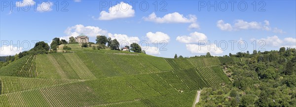 View over the vineyards of Rotenberg towards the Sepulchral Chapel