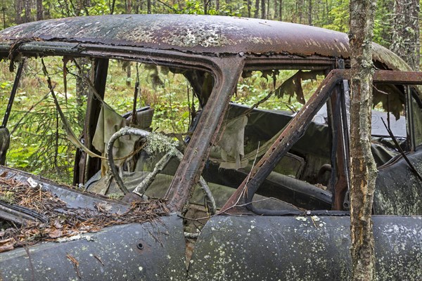 Kyrko mosse scrapyard